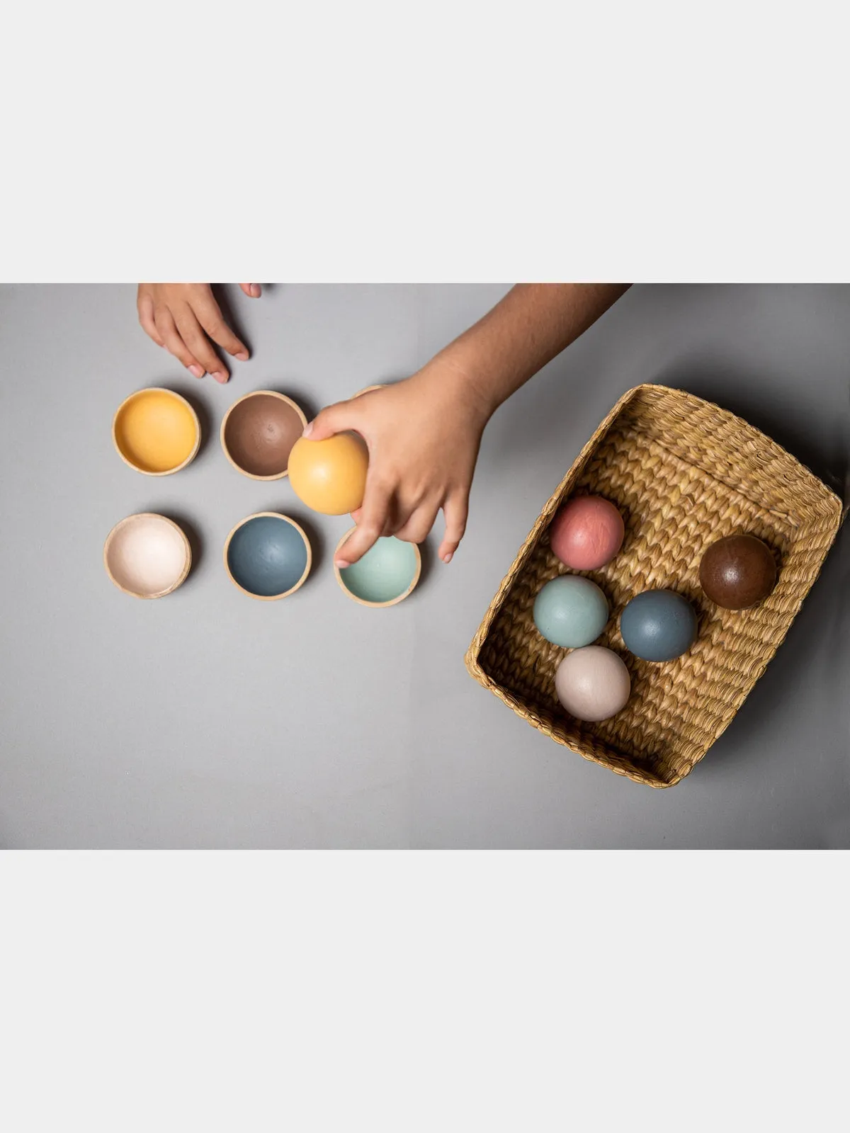 Birch Color Sorter