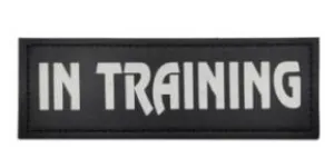 In Training Reflective - Leather Patch