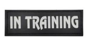 In Training Reflective - Leather Patch