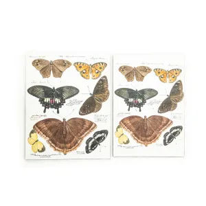 Rustic Dutch Seven Butterflies Art