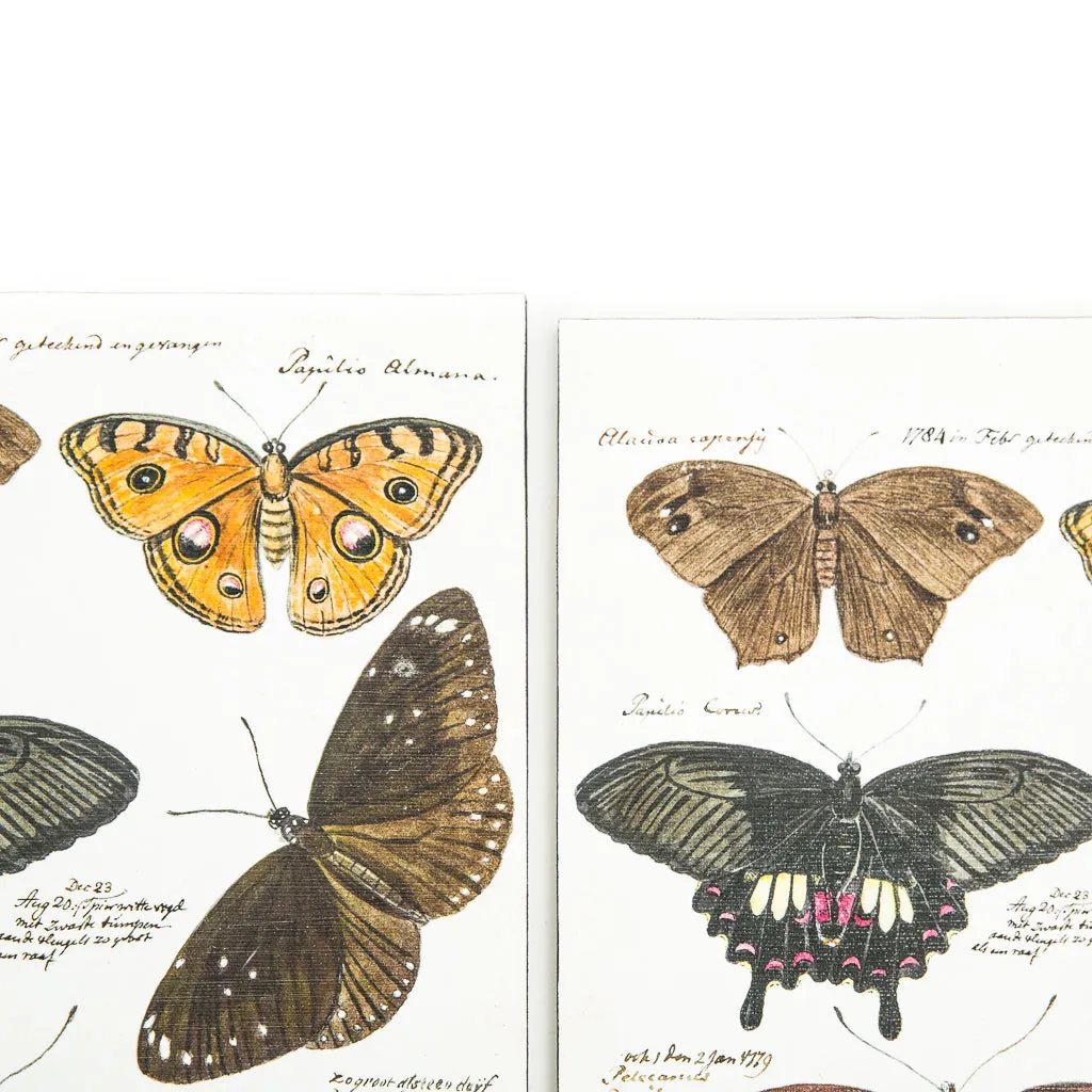 Rustic Dutch Seven Butterflies Art